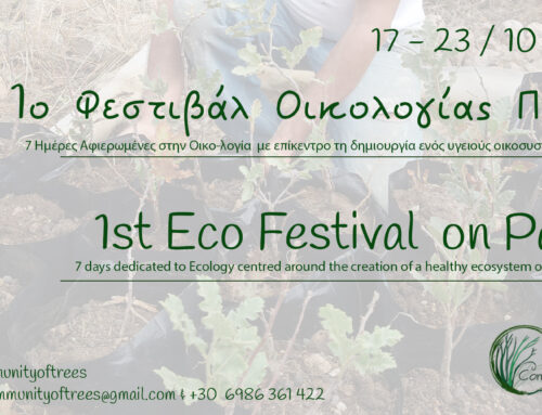 ? 1ο Φεστιβάλ Οικολογίας Πάτμου | 1st Eco Festival on Patmos