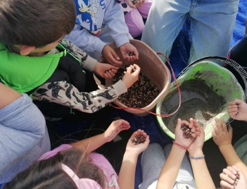 Απολογισμός 4ου Φεστιβάλ Οικολογίας Πάτμου 2025